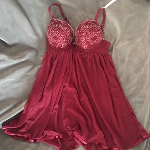 Maroon Teddy